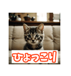 ひとこと子猫スタンプ（個別スタンプ：25）