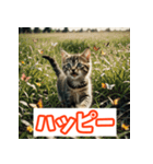 ひとこと子猫スタンプ（個別スタンプ：26）