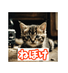 ひとこと子猫スタンプ（個別スタンプ：31）