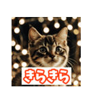 ひとこと子猫スタンプ（個別スタンプ：33）