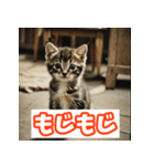 ひとこと子猫スタンプ（個別スタンプ：34）