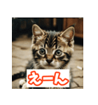 ひとこと子猫スタンプ（個別スタンプ：35）