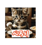 ひとこと子猫スタンプ（個別スタンプ：37）