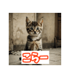 ひとこと子猫スタンプ（個別スタンプ：38）