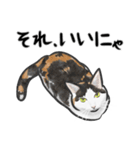 三毛猫スタンプ（その3）（個別スタンプ：6）