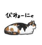 三毛猫スタンプ（その3）（個別スタンプ：7）