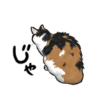 三毛猫スタンプ（その3）（個別スタンプ：8）
