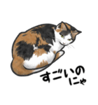 三毛猫スタンプ（その3）（個別スタンプ：9）