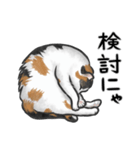 三毛猫スタンプ（その3）（個別スタンプ：14）