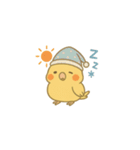 鳥とオカメインコのスタンプ（個別スタンプ：1）