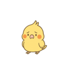 鳥とオカメインコのスタンプ（個別スタンプ：3）