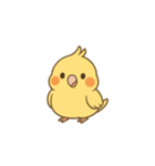 鳥とオカメインコのスタンプ（個別スタンプ：4）