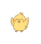 鳥とオカメインコのスタンプ（個別スタンプ：5）