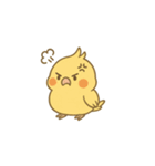 鳥とオカメインコのスタンプ（個別スタンプ：6）