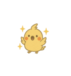 鳥とオカメインコのスタンプ（個別スタンプ：8）