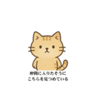 鳥とオカメインコのスタンプ（個別スタンプ：16）