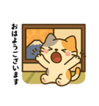 「小発喵のにちじょう日本語」（個別スタンプ：1）