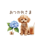 雨の日も楽しく！トイプードル梅雨スタンプ（個別スタンプ：2）