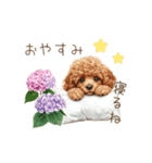 雨の日も楽しく！トイプードル梅雨スタンプ（個別スタンプ：4）