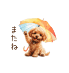 雨の日も楽しく！トイプードル梅雨スタンプ（個別スタンプ：5）