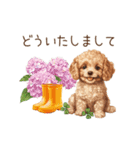 雨の日も楽しく！トイプードル梅雨スタンプ（個別スタンプ：9）