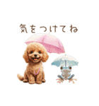 雨の日も楽しく！トイプードル梅雨スタンプ（個別スタンプ：10）
