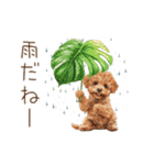 雨の日も楽しく！トイプードル梅雨スタンプ（個別スタンプ：13）