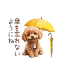 雨の日も楽しく！トイプードル梅雨スタンプ（個別スタンプ：20）