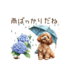 雨の日も楽しく！トイプードル梅雨スタンプ（個別スタンプ：21）