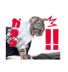 働くねこリーマン（個別スタンプ：1）