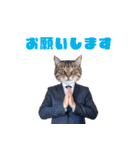 働くねこリーマン（個別スタンプ：4）