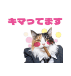 働くねこリーマン（個別スタンプ：8）