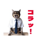 働くねこリーマン（個別スタンプ：11）