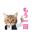 働くねこリーマン（個別スタンプ：16）