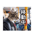 働くねこリーマン（個別スタンプ：18）