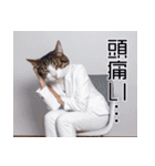 働くねこリーマン（個別スタンプ：26）