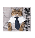 働くねこリーマン（個別スタンプ：28）