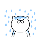 つかいやすいねこです。梅雨と初夏（個別スタンプ：4）