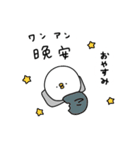 ピヨコロ 中国語（個別スタンプ：4）
