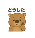 ウォンバット親子の会話（個別スタンプ：13）