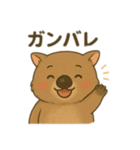 ウォンバット親子の会話（個別スタンプ：24）