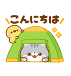 梅雨初夏♡ねこねこにゃんこ（個別スタンプ：2）