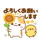 梅雨初夏♡ねこねこにゃんこ（個別スタンプ：13）