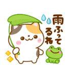 梅雨初夏♡ねこねこにゃんこ（個別スタンプ：15）