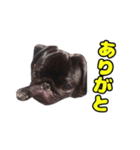 ぽんずとからし（個別スタンプ：7）