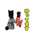 ぽんずとからし（個別スタンプ：30）