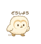 メンフクロウ（ヒナ）（個別スタンプ：10）