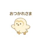 メンフクロウ（ヒナ）（個別スタンプ：17）