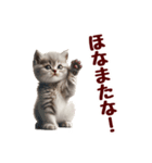 可愛い子猫の日常-8（個別スタンプ：3）