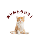 可愛い子猫の日常-8（個別スタンプ：4）